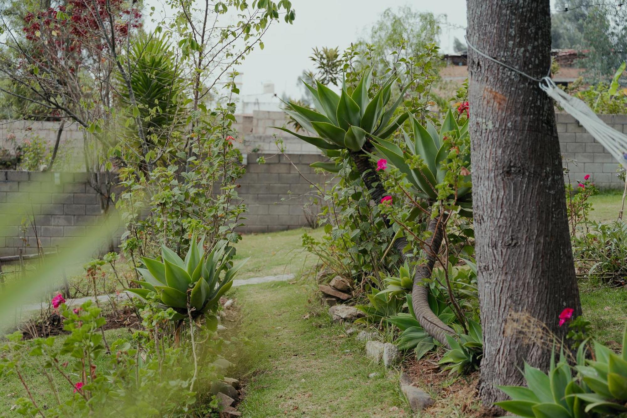 Kinti Wasi Casa De Campo Hospedaje Los Banos del Inca Екстериор снимка